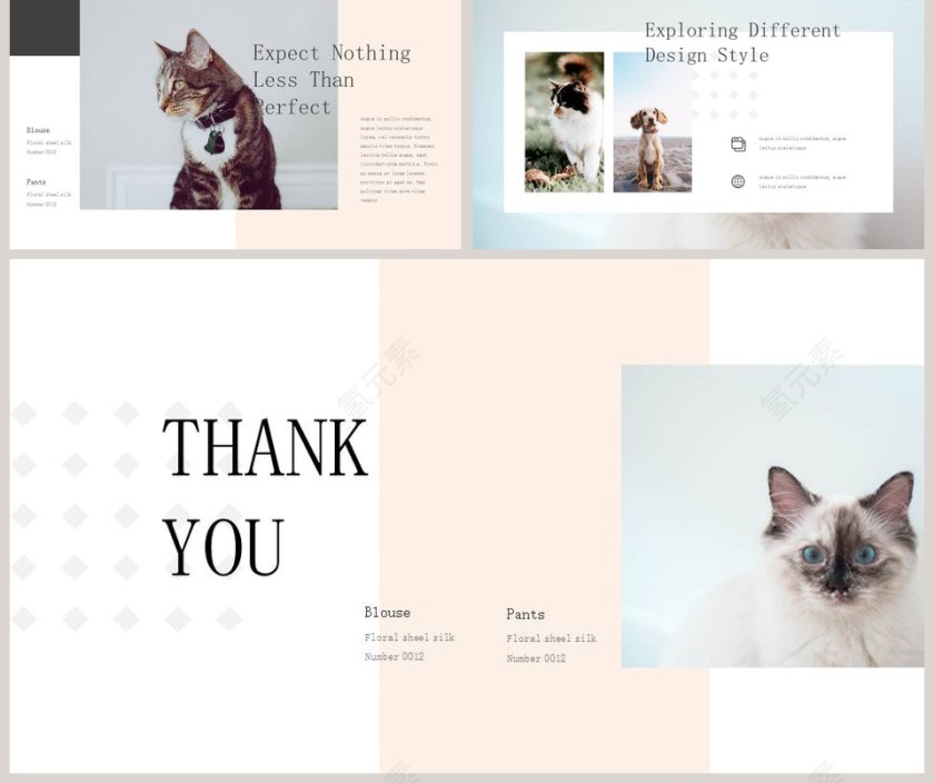 猫犬系列学术教育说课PPT模板第5张