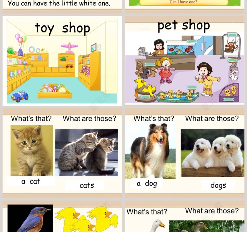 Theyre lovely教学ppt课件第4张