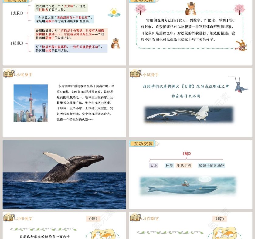 说明文习作介绍一种事物语文课件PPT第2张