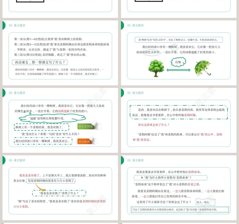 部编版三年级语文下册枫树上的喜鹊语文课件PPT第4张