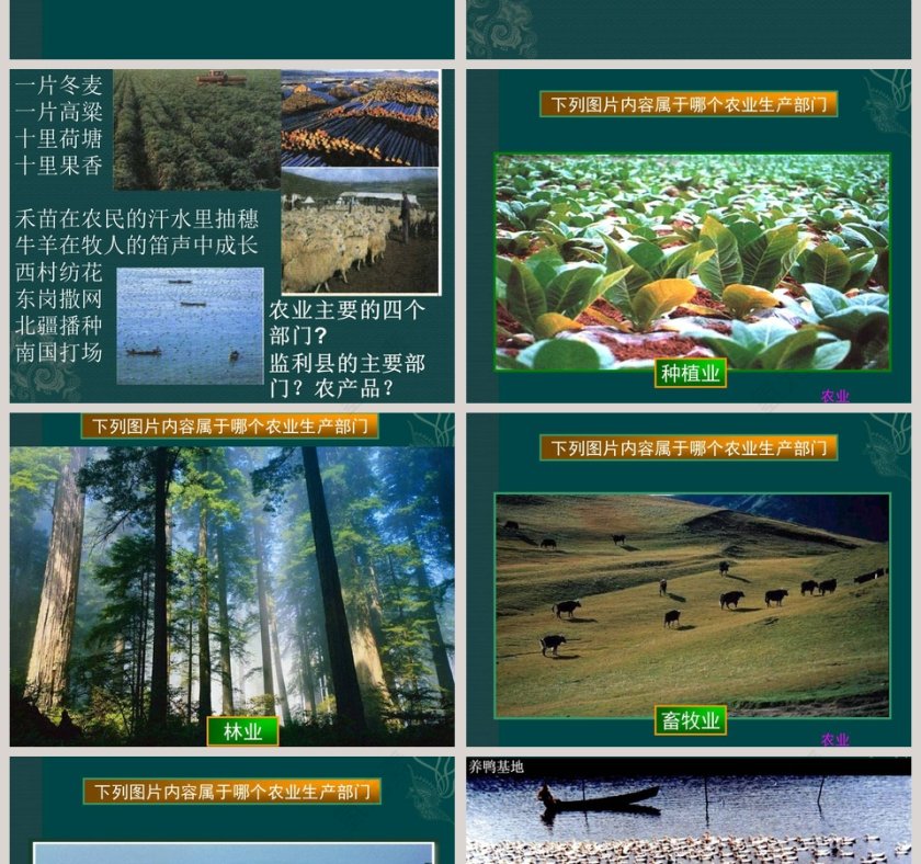 第四章中国的经济发展-农业教学ppt课件第2张