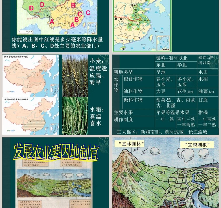 第四章中国的经济发展-农业教学ppt课件第5张