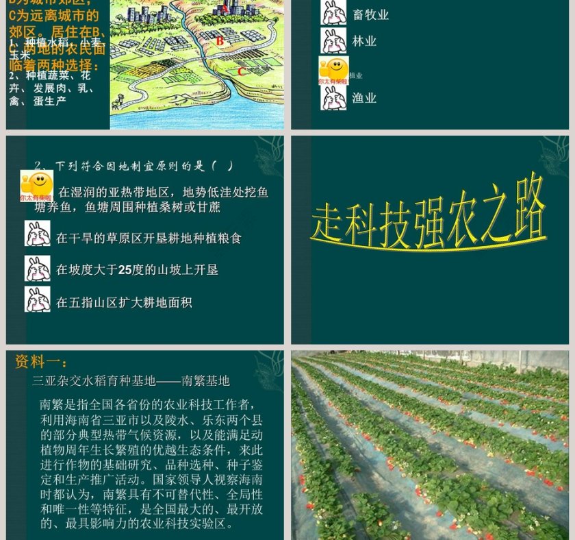 第四章中国的经济发展-农业教学ppt课件第7张