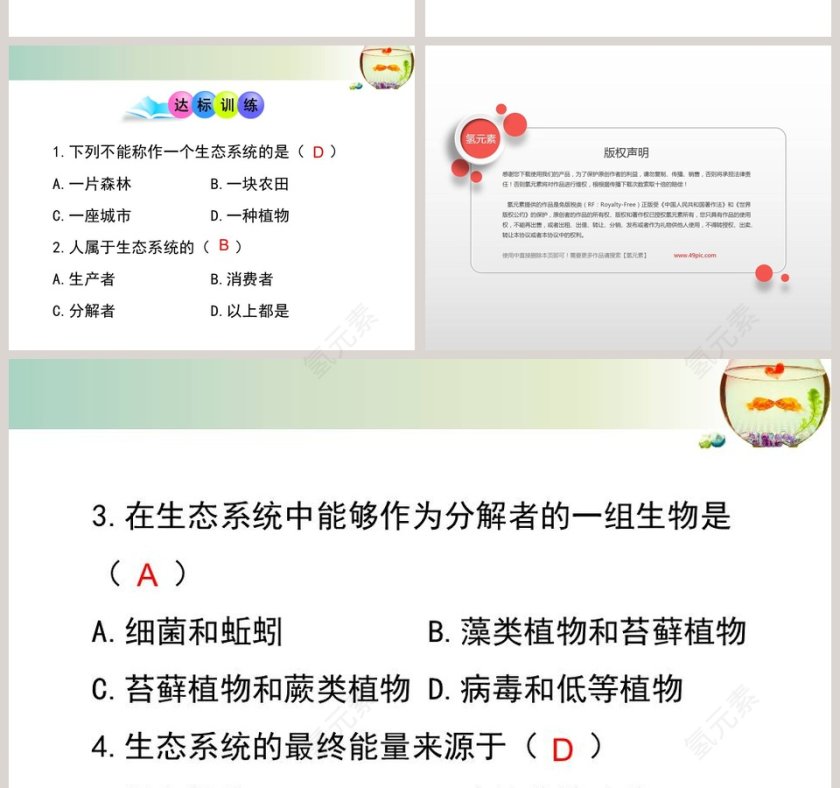 第2节 生态系统概述 PPT模板第6张