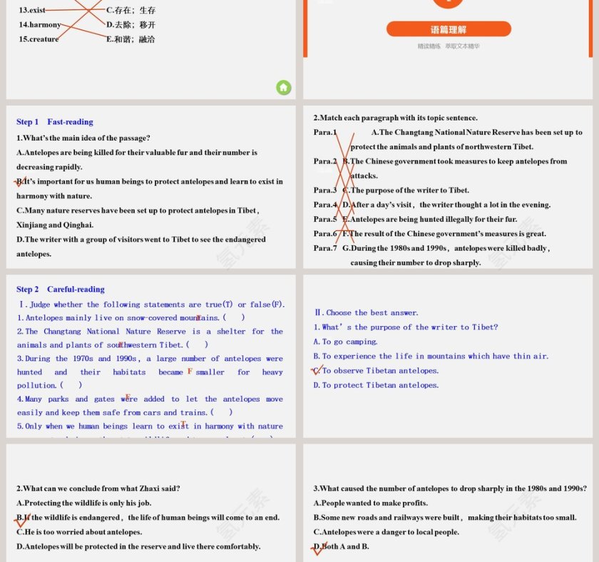 Unit 2 - Wildlife Protection PPT模板 - 保护野生动物ppt背景第3张