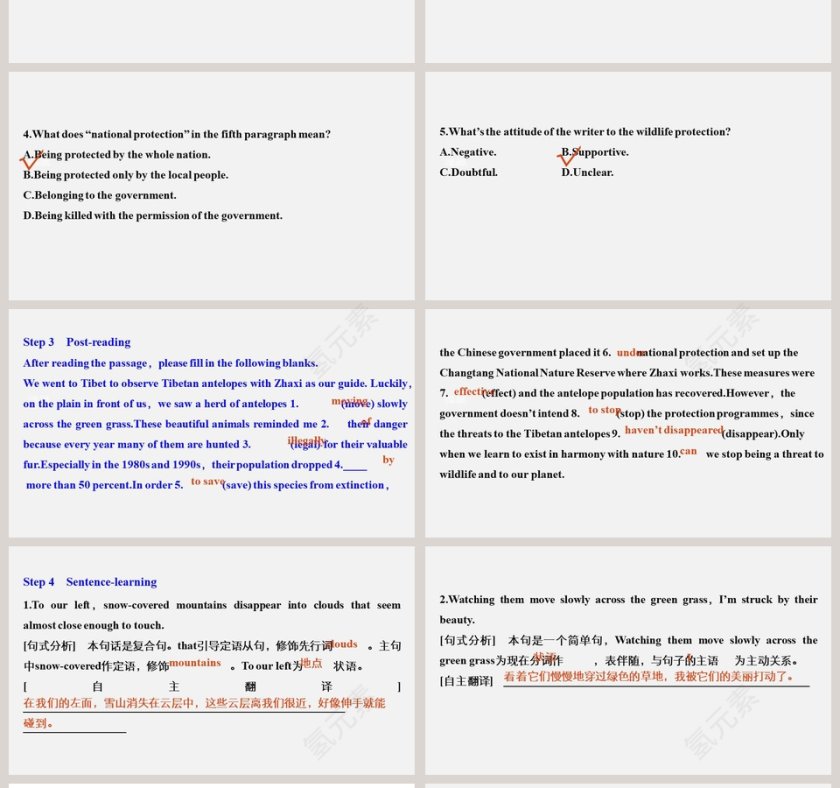Unit 2 - Wildlife Protection PPT模板 - 保护野生动物ppt背景第4张