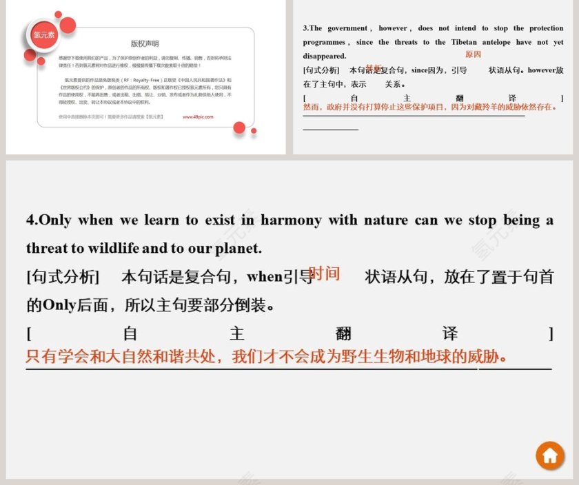 Unit 2 - Wildlife Protection PPT模板 - 保护野生动物ppt背景第5张