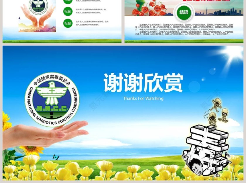国际禁毒日宣传教育PPT第6张