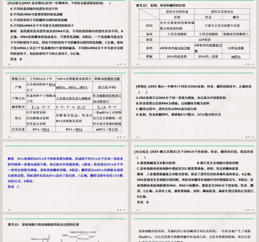 微专题五基因表达相关的题型及解题方法教学ppt课件第2张