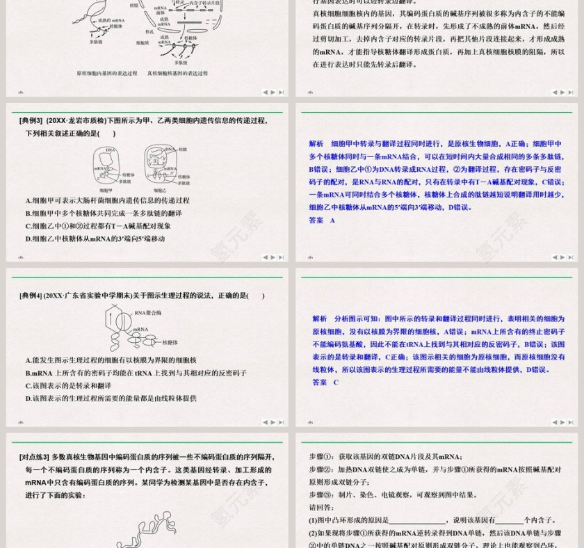 微专题五基因表达相关的题型及解题方法教学ppt课件第3张
