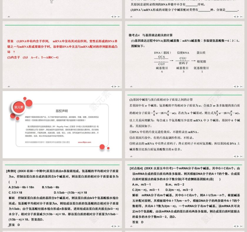 微专题五基因表达相关的题型及解题方法教学ppt课件第4张