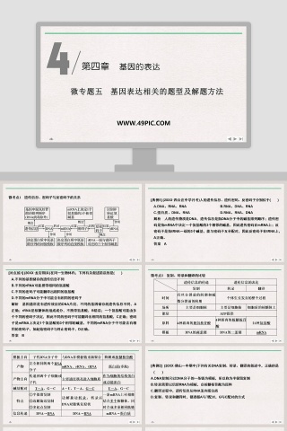 微专题五基因表达相关的题型及解题方法教学ppt课件