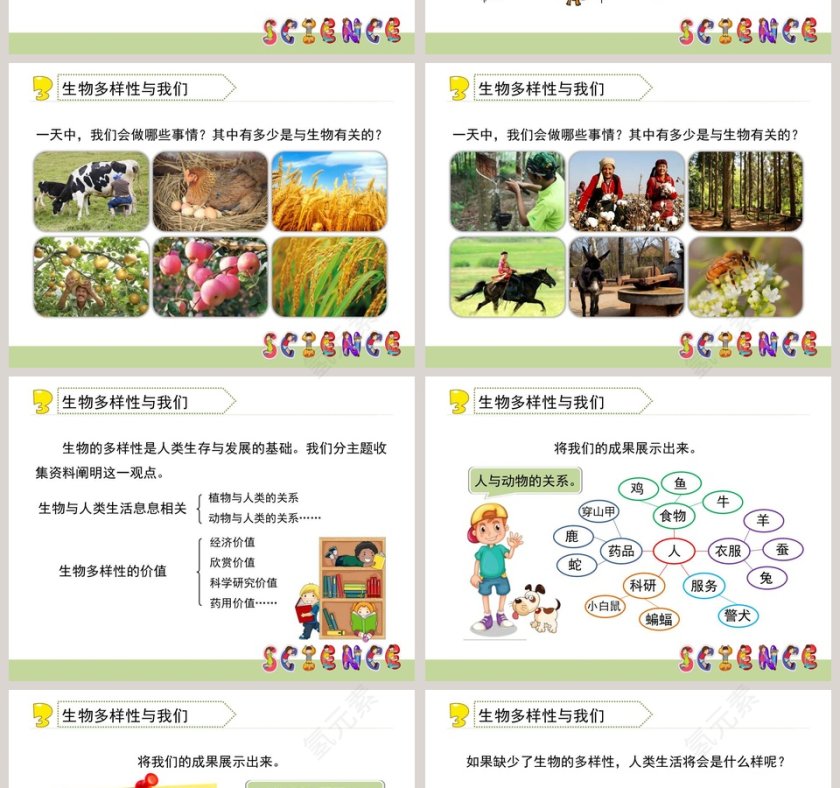 解析生物多样性的意义：应用于医学护理行业的PPT模板第2张
