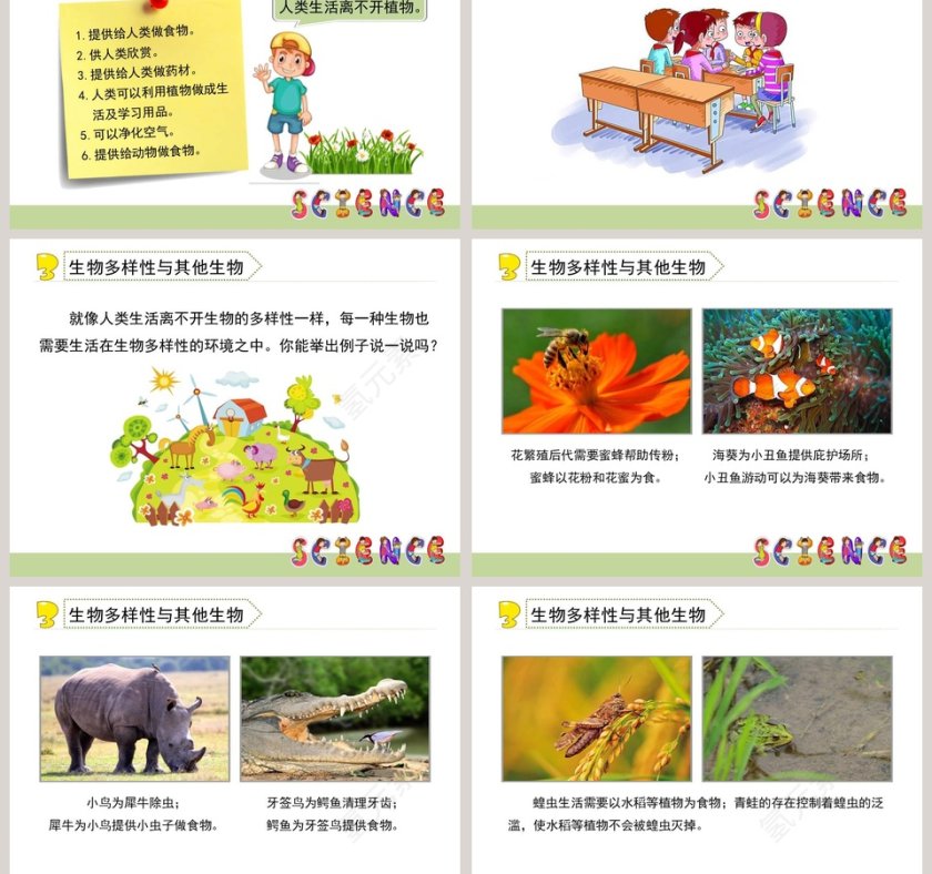 解析生物多样性的意义：应用于医学护理行业的PPT模板第3张