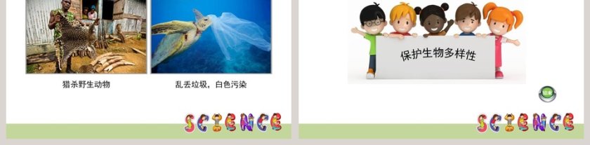 解析生物多样性的意义：应用于医学护理行业的PPT模板第5张