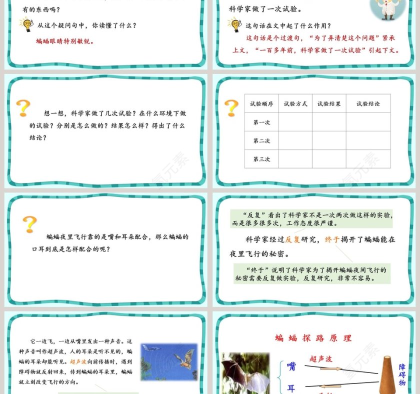 课文解析蝙蝠和雷达语文课件PPT第3张