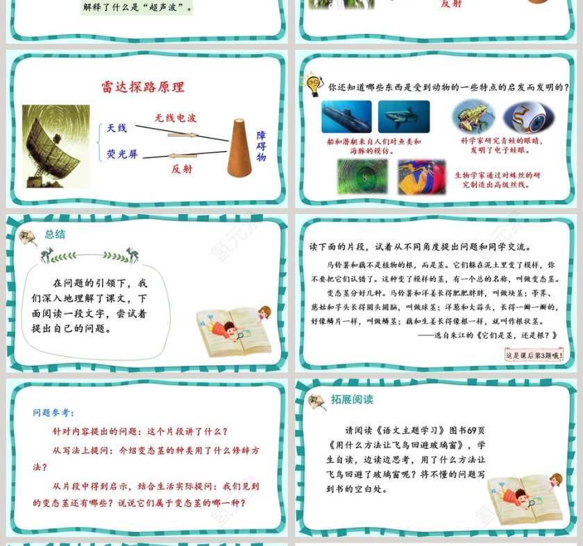 课文解析蝙蝠和雷达语文课件PPT第4张