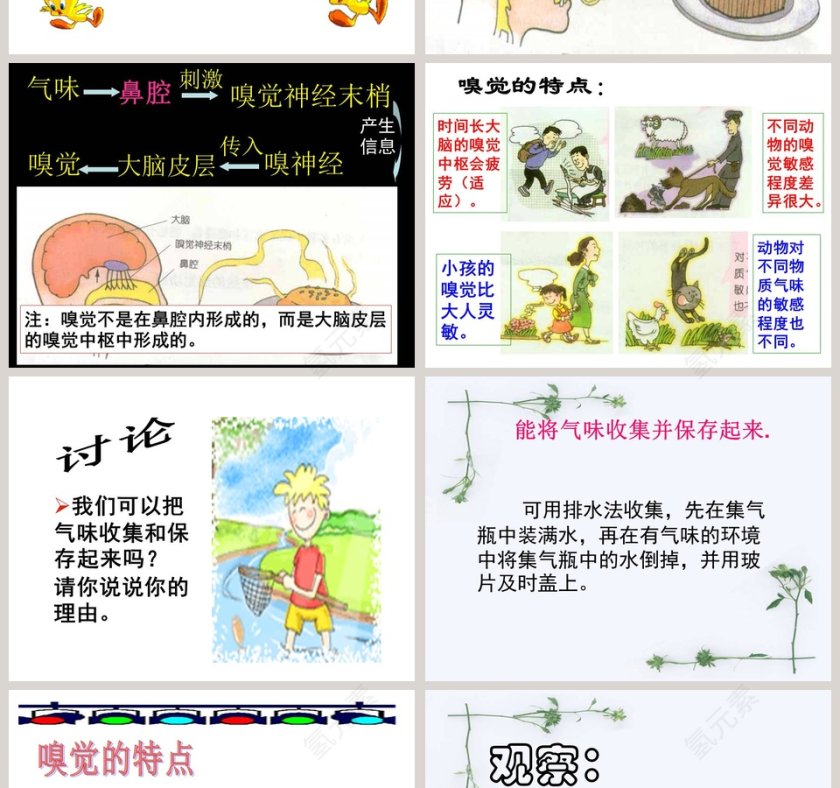 感 觉 世 界教学ppt课件第2张