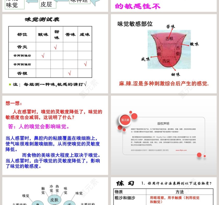 感 觉 世 界教学ppt课件第4张
