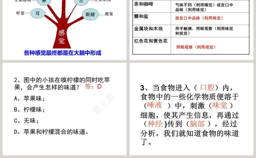 感 觉 世 界教学ppt课件第5张
