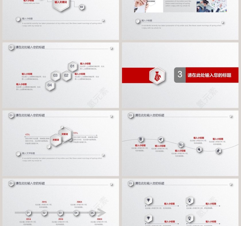 高级灰简洁大气项目介绍PPT模板第3张
