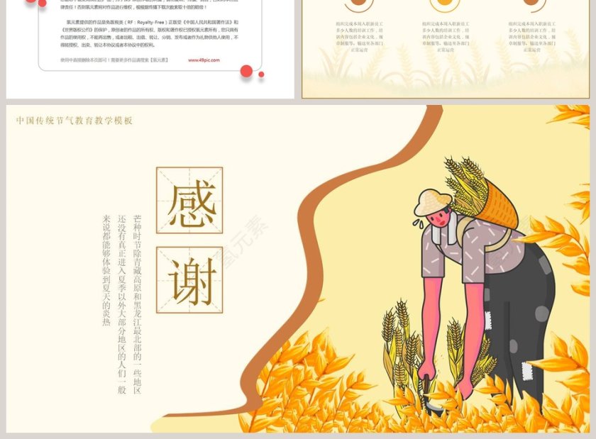 中国传统节气芒种教育教学PPT模板第3张