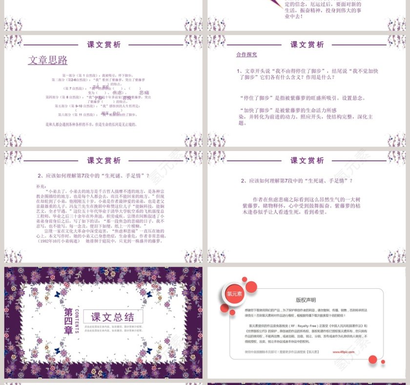 初中语文课件PPT《紫藤萝瀑布 》        第4张