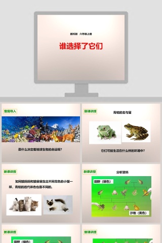 教科版   六年级上册-谁选择了它们教学ppt课件