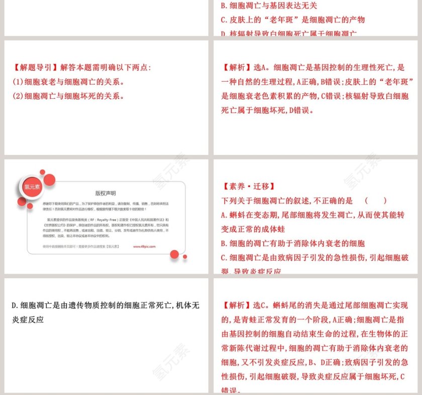 第-3教学ppt课件第7张