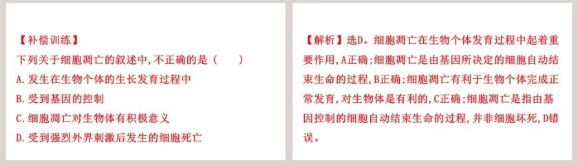 第-3教学ppt课件第8张