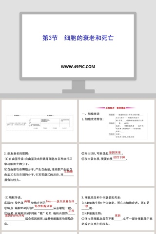 第-3教学ppt课件