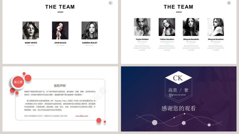 服装品牌营销PPT模板第5张