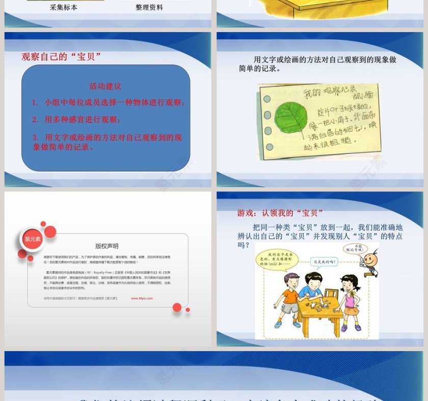 观察宝贝教学ppt课件第2张