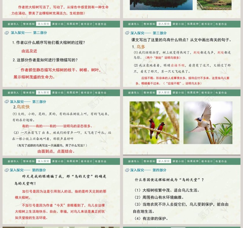 课文解析人教部编版小学语文四年级上册鸟的天堂语文课件PPT第4张