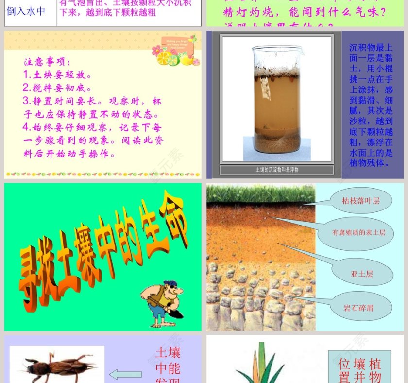 土壤里有什么-三植物生活的土地教学ppt课件第2张