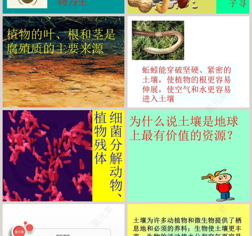 土壤里有什么-三植物生活的土地教学ppt课件第4张