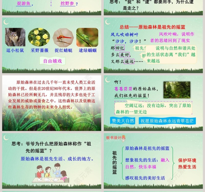 课文解析二年级语文下册祖先的摇篮语文课件PPT第4张