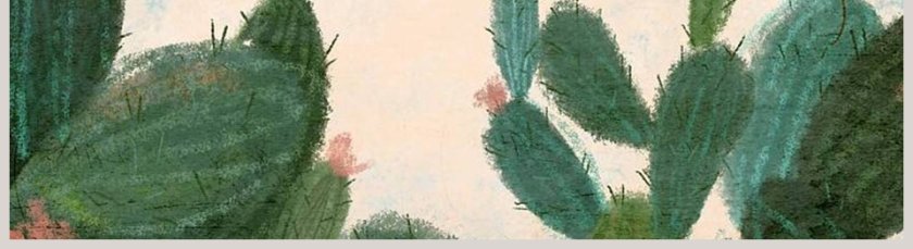 仙人掌手绘插画风毕业答辩模板ppt第5张