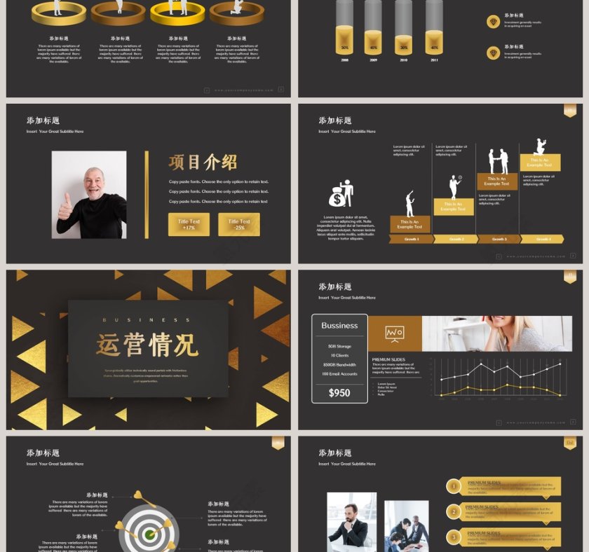 精美高端大气商业计划书第3张