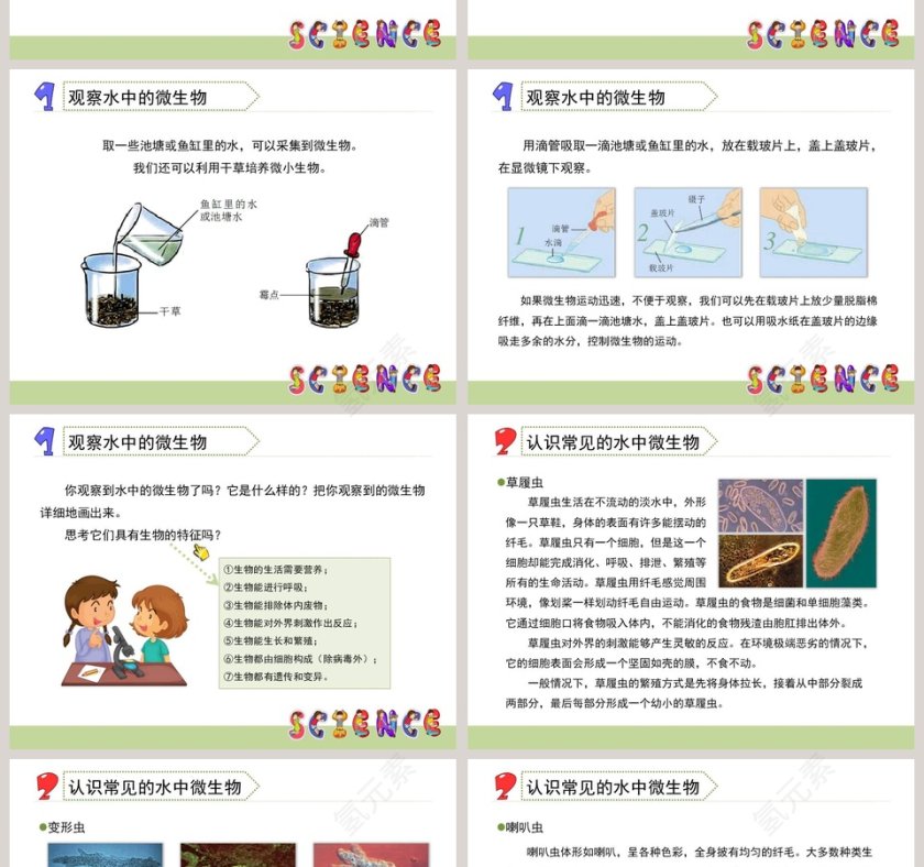 用显微镜观察身边的-生命世界教学ppt课件第2张
