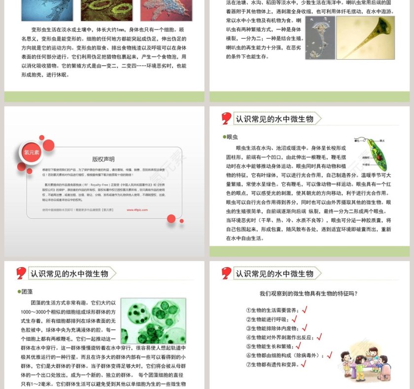 用显微镜观察身边的-生命世界教学ppt课件第3张