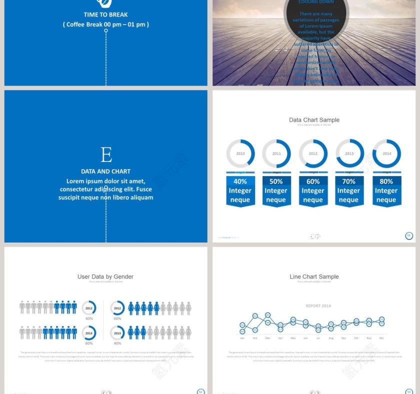   欧美经典商务时尚工作总结PPT模板第11张
