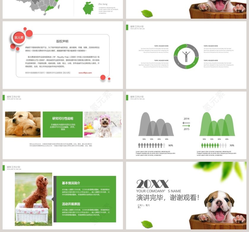 2019宠物类PPT模版第4张