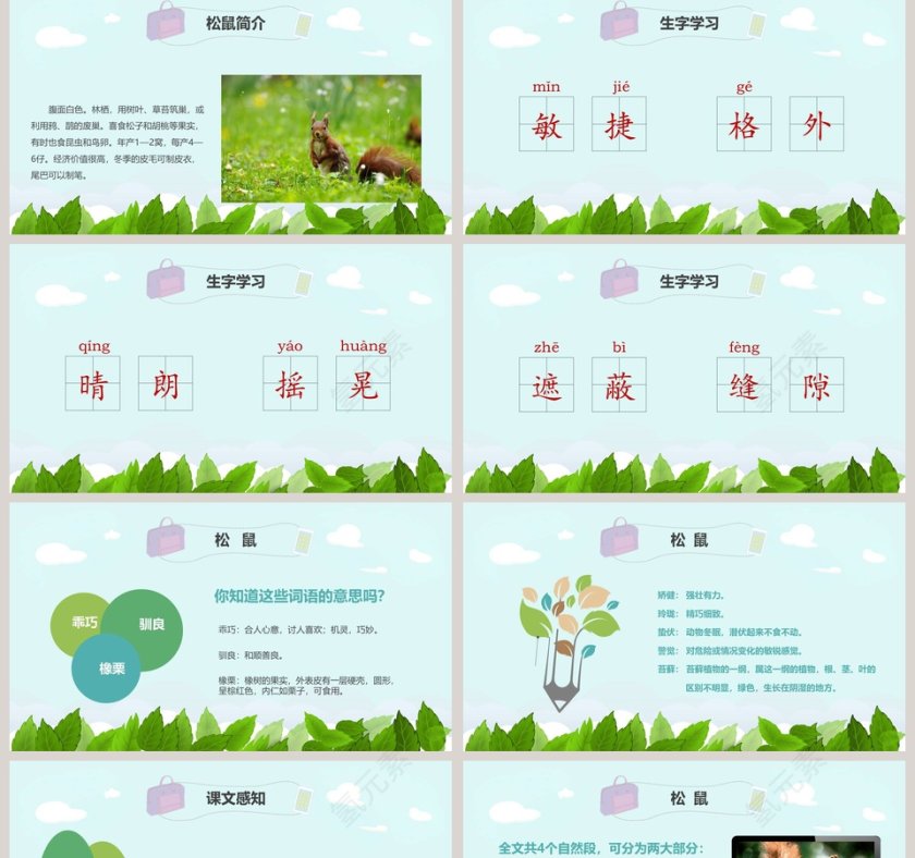 五年级语文课件PPT松鼠第2张