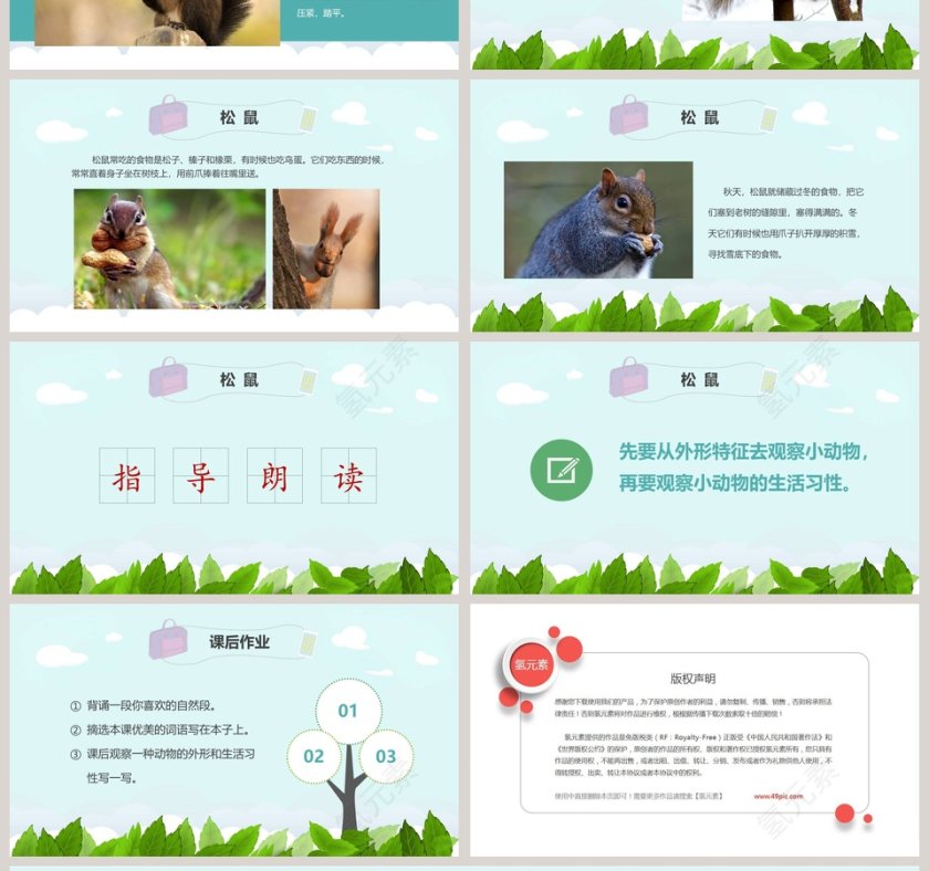 五年级语文课件PPT松鼠第4张