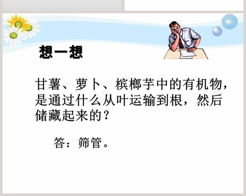 植物怎样吸收和运输水_PPT模板_医学护理行业第6张