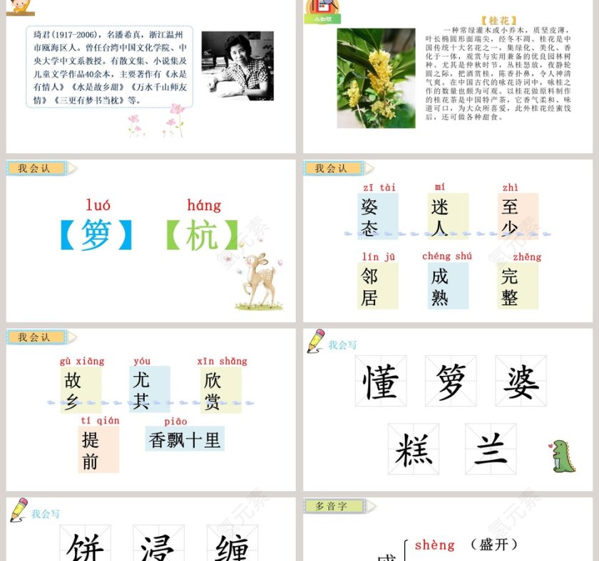 课文解析桂花雨语文课件PPT第2张