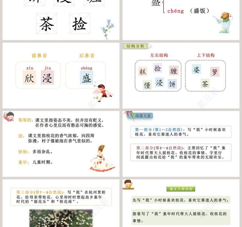 课文解析桂花雨语文课件PPT第3张