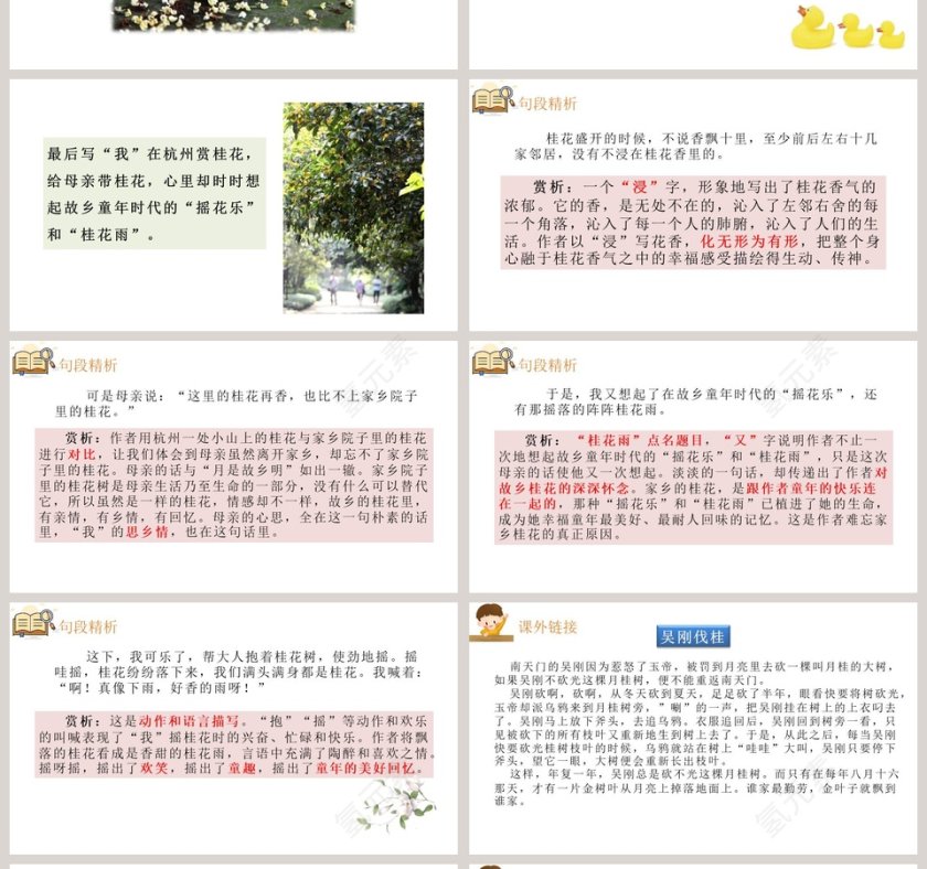 课文解析桂花雨语文课件PPT第4张