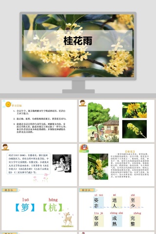 课文解析桂花雨语文课件PPT